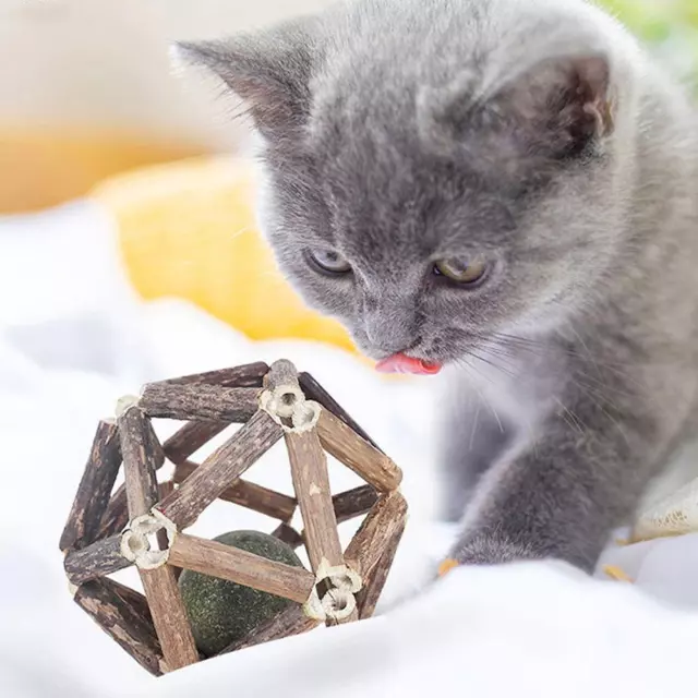 Catnip Ball Cat Toys Interactive Toy for Kitten Matatabi Polygonum Cleaning Cat_