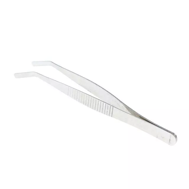 Curved Round Tip Stainless Steel Tweezers 12 cm/ 4.7 inch Lab