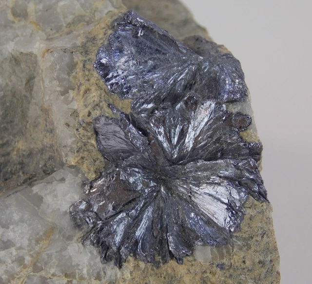 EXCELLENT MOLYBDENITE CRYSTALS - 9.6 cm - HENDERSON MINE, COLORADO 26262 EXCELLENT MOLYBDENITE CRYSTALS - 9.6 cm - HENDERSON MINE, COLORADO 26262