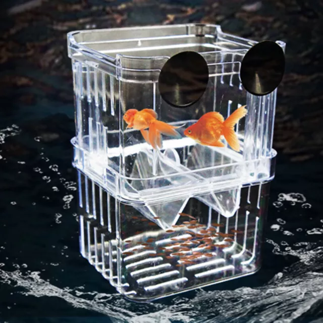 Fish Tanks Guppy Breeding Breeder Baby/Fry/Newborn Net Trap Box Hatcherys