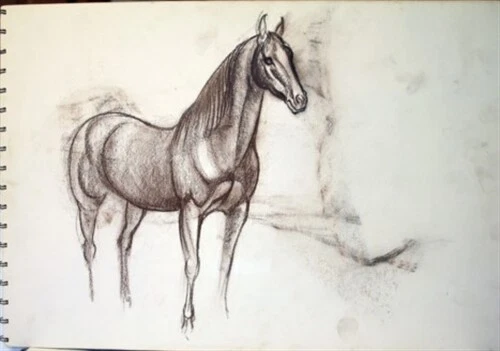 #1 Maureen Love Original Sketch Black Horse
