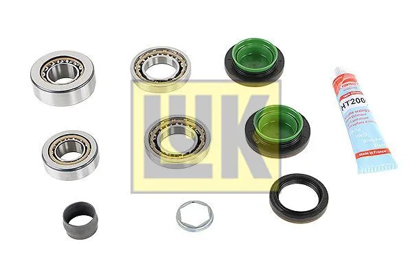 LuK Kit Riparazione Differenziale 462014710 per BMW E81 E87 E88 E82 E90 E93 04-15