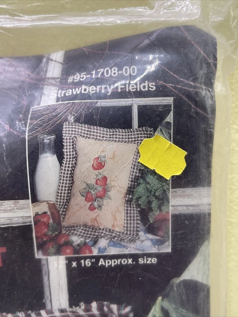 Nuevo kit sin abrir Homespun Tole 'N Accents de Bernat Strawberry Fields de colección