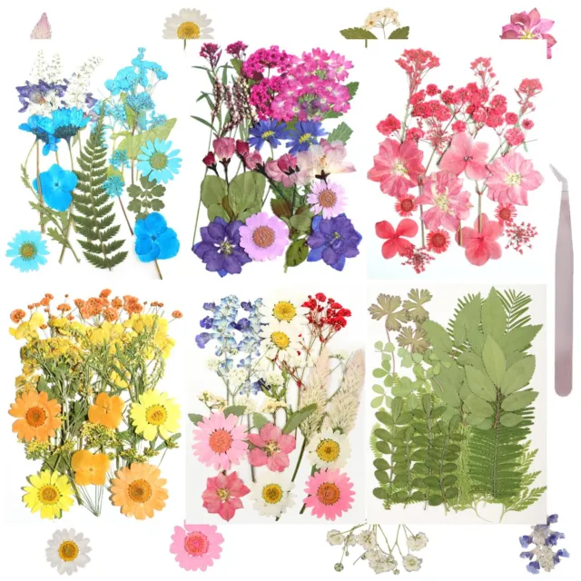 120 Pcs Pressed Dried Flowers for Resin Molds Dry Flower Herbs Kit for Crafts