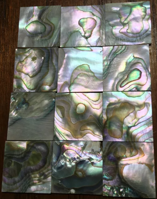 28.5 grams (12pcs) Abalone Fretboard Inlay NOS Gibson Kalamazoo Factory Lot-4 28.5 grams (12pcs) Abalone Fretboard Inlay NOS Gibson Kalamazoo Factory Lot-4