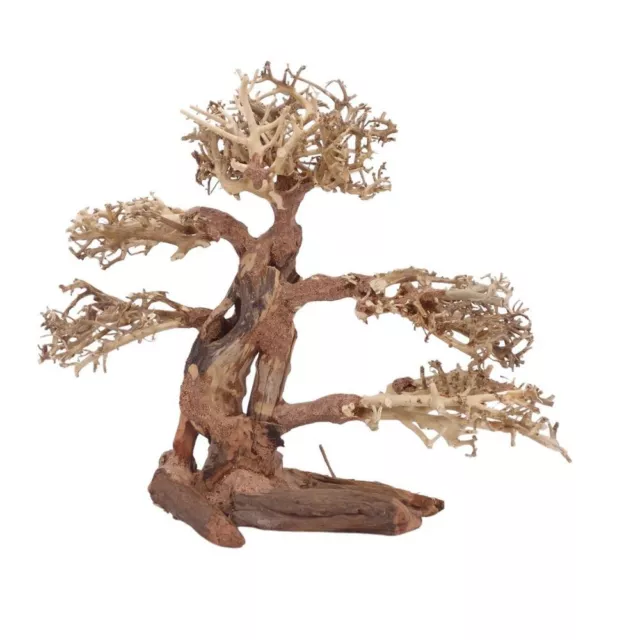 XL Bonsaï Arbre Nr.12062 Racine Bois Aquarium Déco Aquascaping Nature Oriental