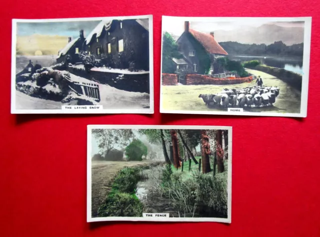 Cavenders Three Larger 1926 Vintage Cigarette Cards  Camera Studies  7 - 8 - 9