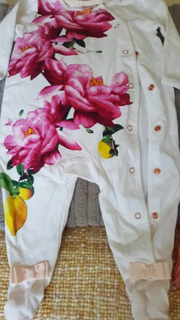 3-6 months girls baby grows ted baker