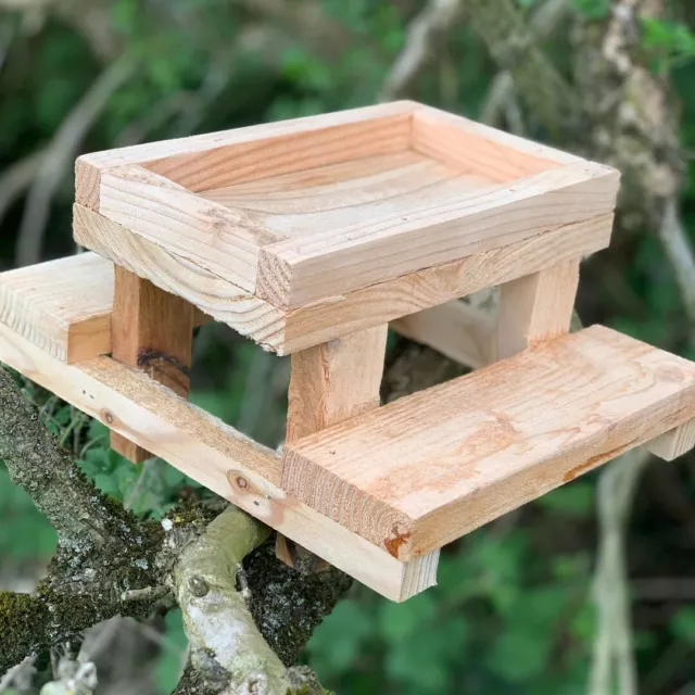 Mesa de picnic de vida silvestre y cuidado de aves Cyril la ardilla hecha en el Reino Unido a partir de alerce