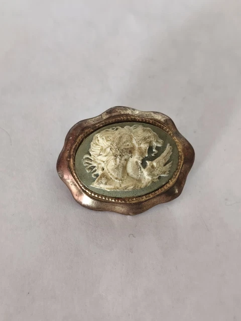 Broche Camée Damart - Plastique Imitation Ambre - Couleurs Vintage - Occasion