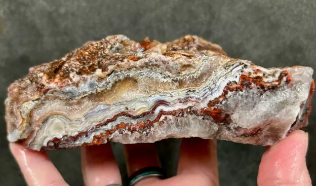 Laguna Lace Agate Rough *1.65 pounds - Mexico!