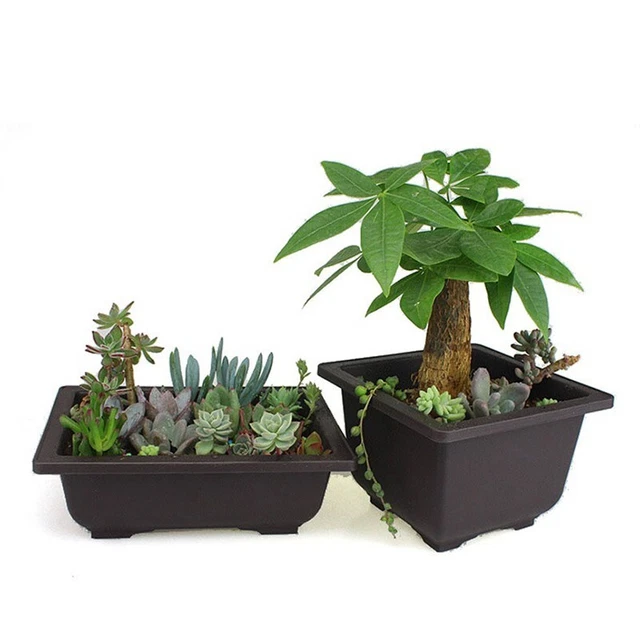 Pratique Pot Afficher Décoratifs Fleur Jardinage Ornement Outils Plantation