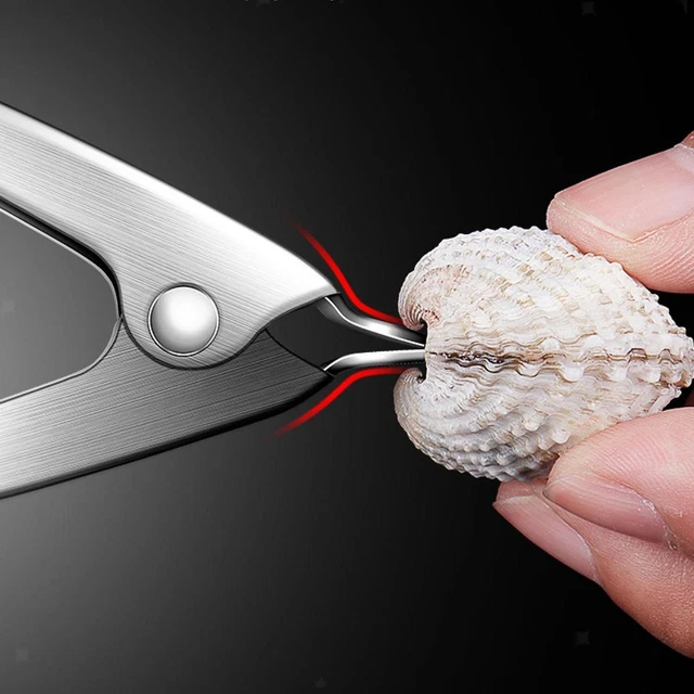 DANIELSON - Couteau à filets en acier inoxydable - Dépôt Chasse & Pêche