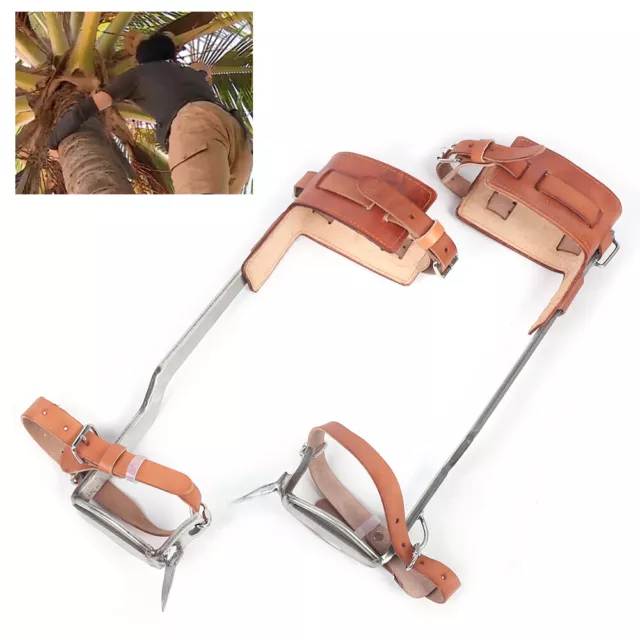 Adjustable Pair Tree Climbing Spike Set Climbing Spurs Climber w/ 2x Ankle Strap