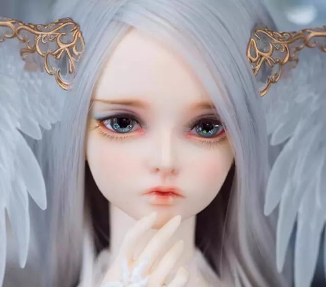 Fl bjd new arrivals