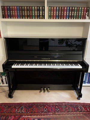 36tlg durable plastic argomentate VERTICAL pianoforte Accessories pianoforte repairing strumenti 