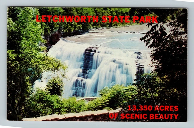 Castile NY- New York Letchworth State Park Genesee River Gorge Vintage Postcard