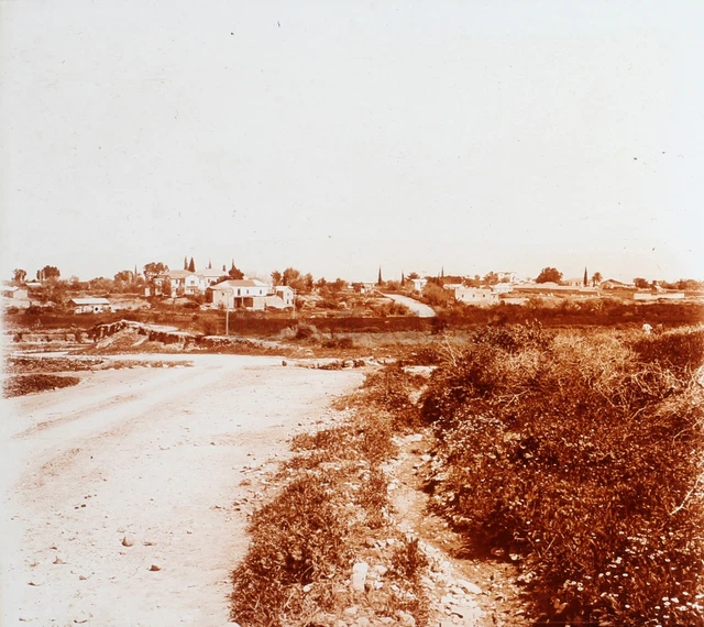 Gerico Cisgiordania Terra Sainte c1920 Foto Placca Da Lente Stereo Vintage V42L