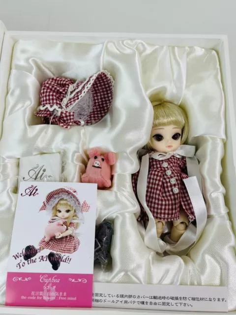 Jun Planning Doll Dal Ars Gratia Ai Ball Jointed Doll BJD Q-721 Cuphea Big Eyed