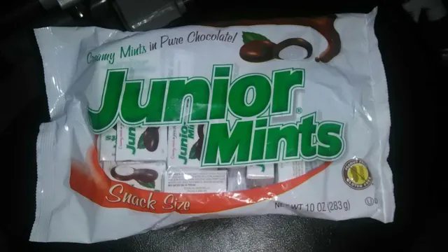 JUNIOR MINTS CHOCOLATE Candy 10 Oz Bag! Individual Snack Size Boxes! BB ...