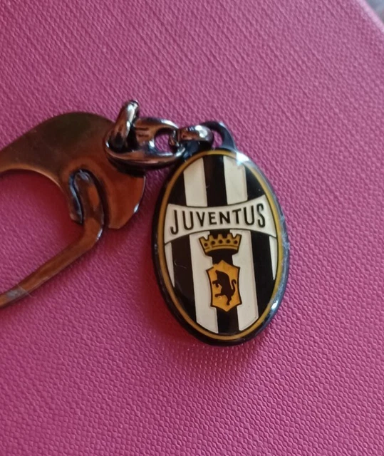 BDM Portachiavi Originale A Forma Di Targa – Rigido E Resistente In Argento – Con Anello Diviso Per Chiavi