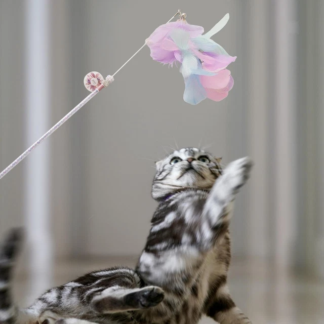 Jouets En Plumes Pour Animaux De Compagnie Chat Jouant Jouet Chat Teaser