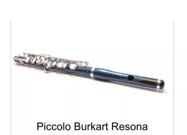 Piccolo Burkart Resona tête Wave