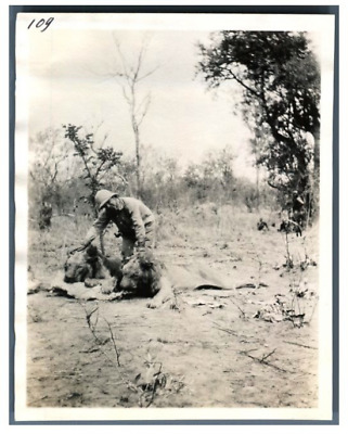 Georges Roederer avec le pied blessé et un aigle  Vintage silver print Niger S 