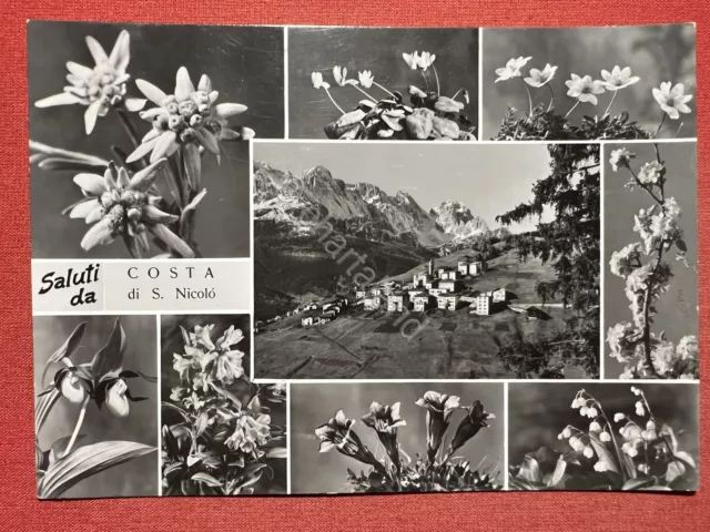 Cartolina - Saluti da Costa di S. Nicolò ( Belluno ) - Vedute diverse - 1970