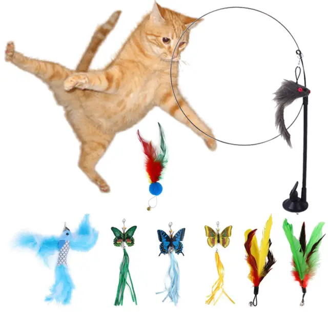 8 Pièces Chat Plume Jouet Exercice Chaton Jouant Kitty Teaser Jouet