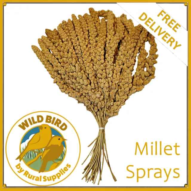 Premium Millet Spray Bird Treat Budgie Canary Cockatiel Finch Small Pet