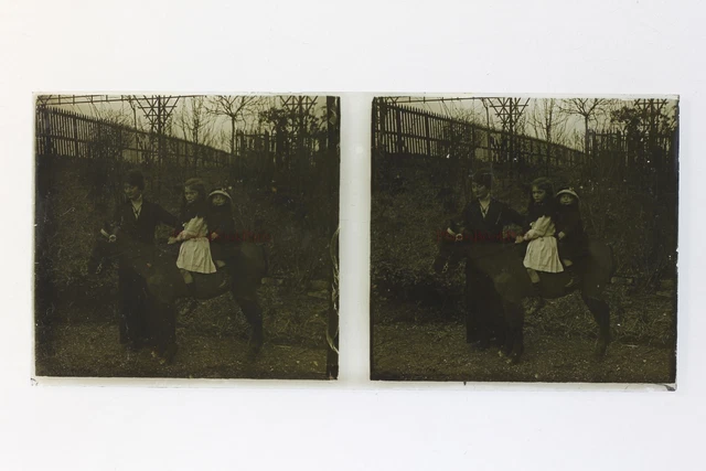 Famille France Photo Stereo Amateur P50L6n31 Plaque de verre Vintage c1910
