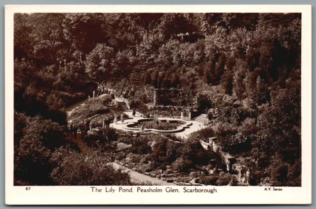 The Lily Pond Peasholm Glen Scarborough Yorkshire RPPC Postcard