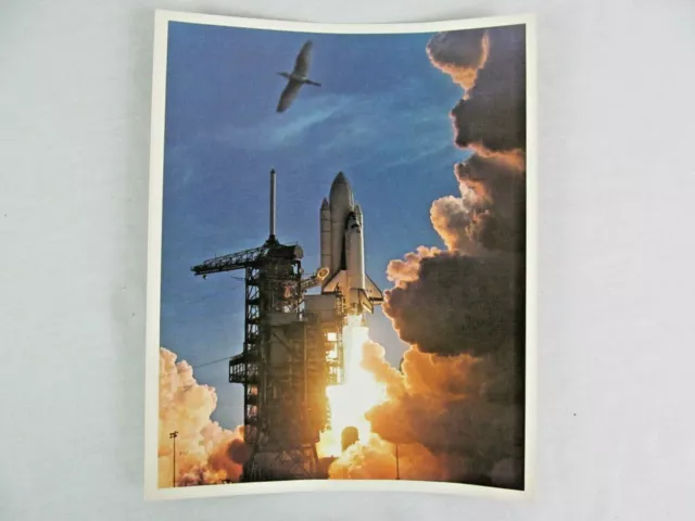 NASA Photograph Space Shuttle STS 1 Columbia Takeoff Young Crippen 8 x 10