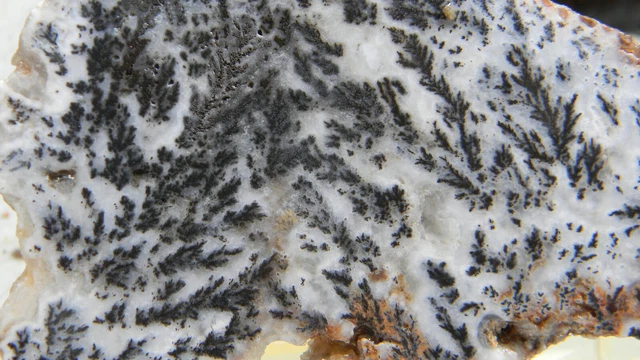 Medicine Bow Plume Agate Slab Slice Lapidry Rough