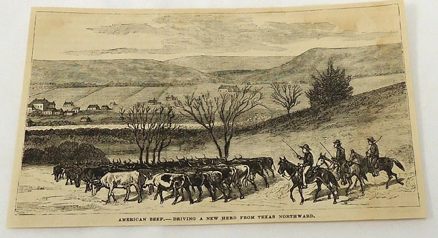 1881 magazine engraving ~ CATTLE HERDERS drive new herd northward from TEXAS