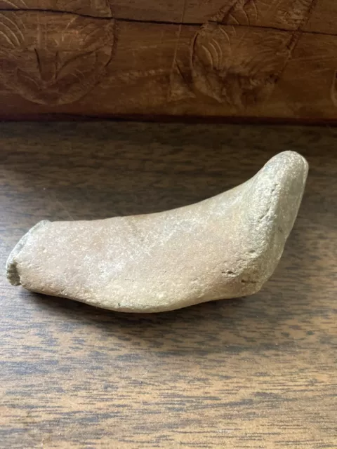 Fossil Mystery (Toe Bone??) Found In Eastern Montana. Dinosaur?? LQQK! N.R.