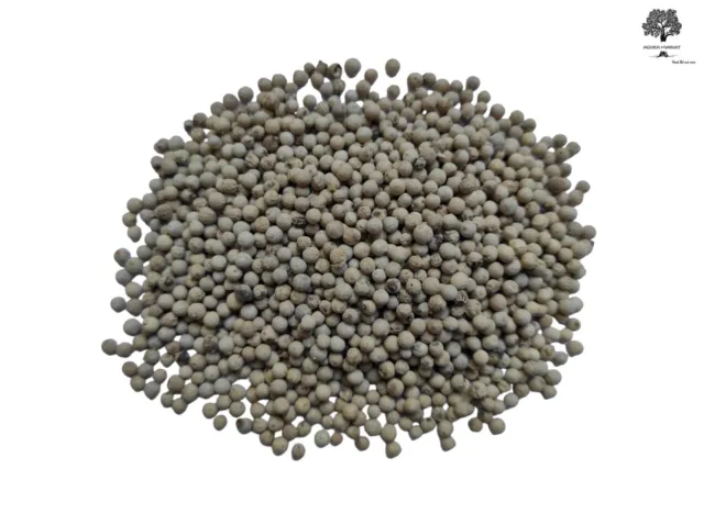 Whole White Peppercorns White Pepper 85 - 950 grams Exceptional Quality