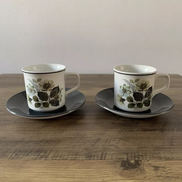 Johnson Brothers Wildmoor Coffee Cups & Saucers x 2 Grey Floral Design