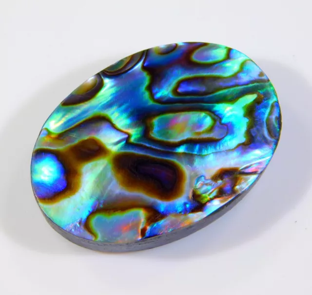 46 CT Superbe Naturel Arc en Ciel Feu Abalone Coque Ovale Cabochon Gemme Ci =