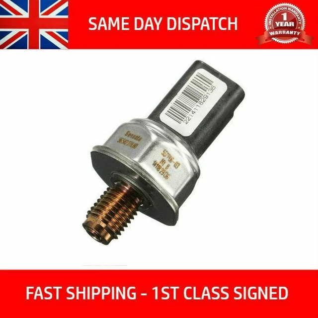 Kit Completo Per Collezione Insetti - 4 Scatole Legno + Accessori Entomologia - Foto 13