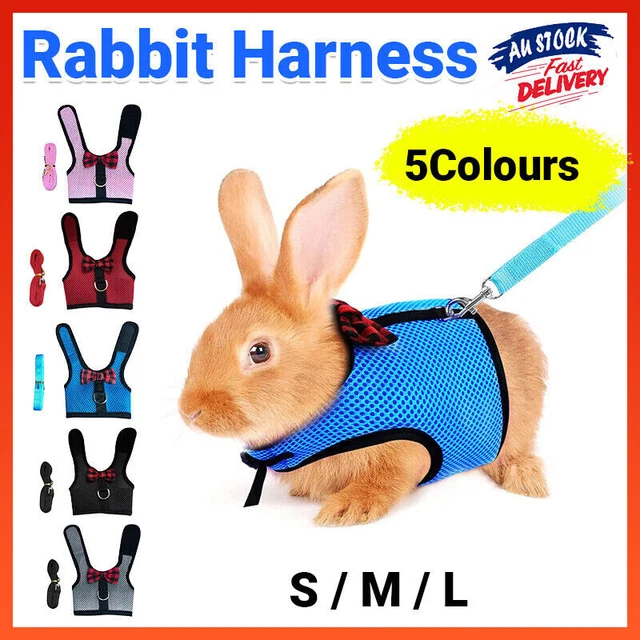 Rabbit vest best sale harness
