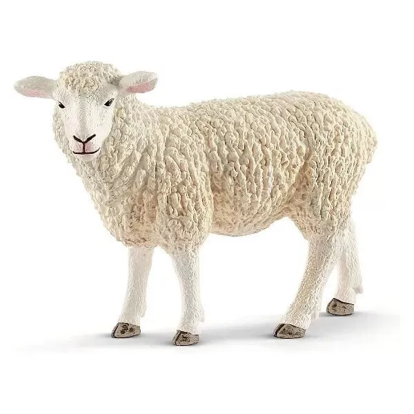 Schleich Sheep 3+ Year