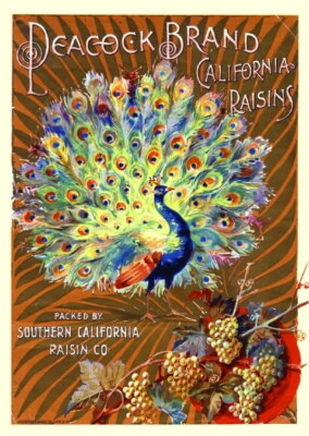 96031 Fresno Comet Raisin Grape Wine Fruit Wall Print Poster Affiche 