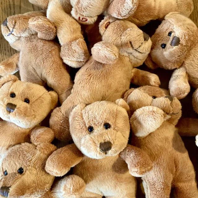 Bag of x 10 Soft TEDDY BEARS 🧸- Great for Party-bags/Dress Up/Fundraising! NEW