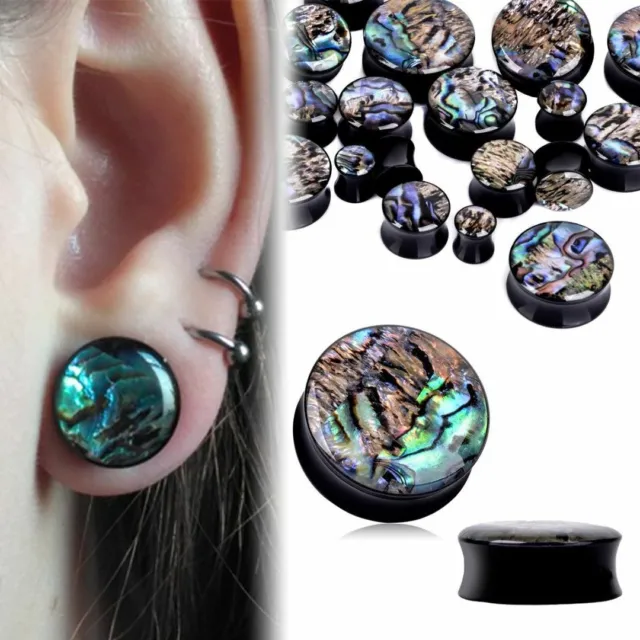 Abalone Black Acrylic Ear Plugs Organic Saddle Gauges Earrings Flesh Tunnels
