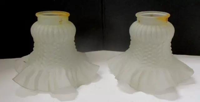 2 Glass Lamp Ceiling Fan Light Shades