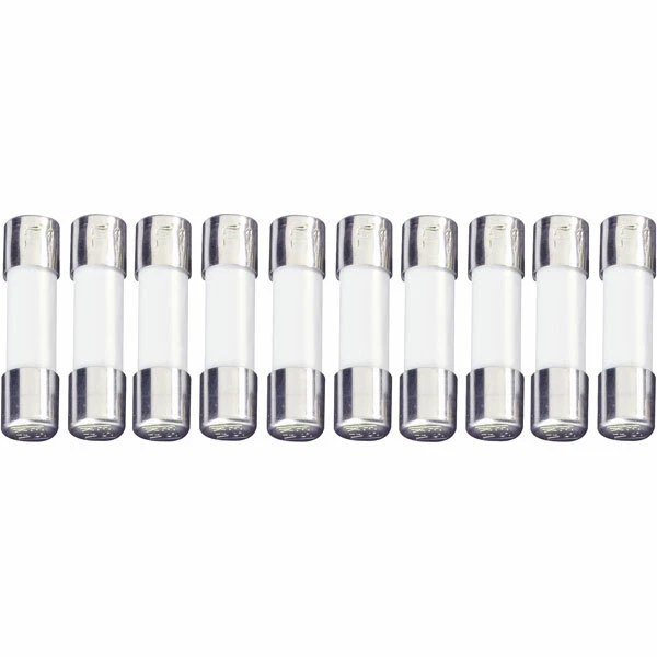 ESKA 522.707 Temps Retard Fusible 5 x 20mm 100mA 250V, Paquet De 10