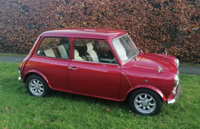 1995 Mini Classic Mini 1995 Mini Classic Mini