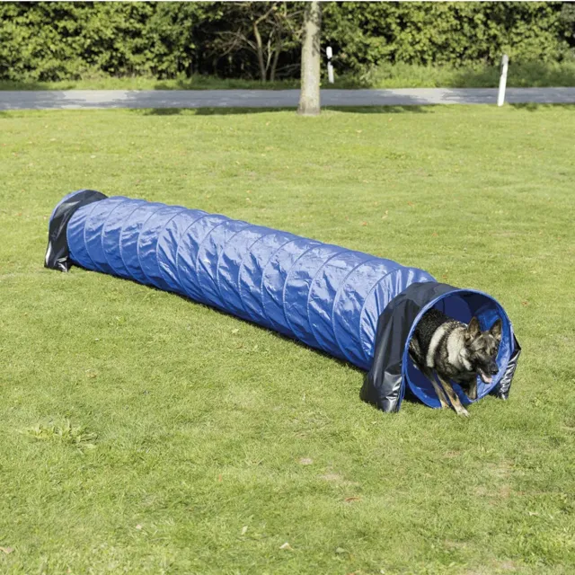 Túnel básico de agilidad de actividad perro Trixie 60 cm x 5 m azul